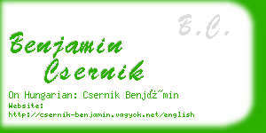 benjamin csernik business card